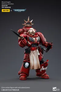 JOYTOY Blood Angels Veteran Laenatus - Warhammer 40K - photo 3