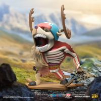 XXRAY Plus Monster Point ONE PIECE 2