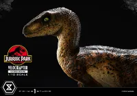 Prime 1 Studio Prime Collectible Figures  Jurassic Park (Film)  Velociraptor  Closed Mouth - Jurassic Park - photo 9