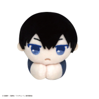 Haikyu!! HUG CHARACTER COLLECTION 8