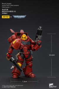 Blood Angels Jump Pack Intercessors Intercessor 1 6