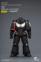 Raven Guard Intercessor with Bolt Rifle, Bolt Pistol and Chainsword 14