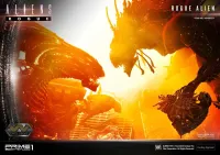 Prime 1 Studio Premium Masterline Aliens (Comics) Rogue Alien Battle Diorama EX Version - Alien (Movie Franchise) - photo 49