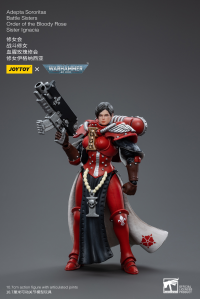 Adepta Sororitas Battle Sisters Order of the Bloody Rose Sister Ignacia 6