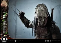Prime 1 Studio Museum Masterline Prey Feral Predator - Live Action Movies/TV - photo 17