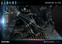Prime 1 Studio Premium Masterline Aliens (Comics) Warrior Alien DX Bonus Version - Alien (Movie Franchise) - photo 24