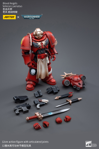 Blood Angels Veteran Laenatus 6