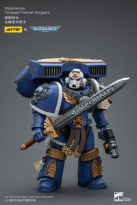 Ultramarines Vanguard Veteran Sergeant 4