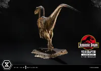Prime 1 Studio Prime Collectible Figures  Jurassic Park (Film)  Velociraptor  Closed Mouth - Jurassic Park - photo 22
