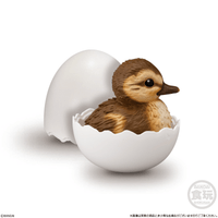 Tenori Baby Friends - Birds  (Box/12) 6