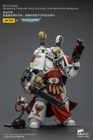 Blood Angels Sanguinary Priest with Heavy bolt pistol, chainsword and narthecium 7