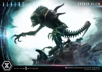 Prime 1 Studio Premium Masterline Aliens (Comics) Tusked Alien Bonus Version - Alien (Movie Franchise) - photo 2