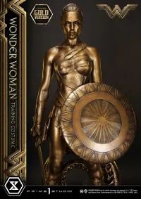Prime 1 Studio Museum Masterline Wonder Woman (Film) Wonder Woman Training Costume Gold Version - DC Comics - photo 18