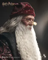Queen Studios INART - Harry Potter and the Chamber of Secrets - Albus Dumbledore 1/6 Collectible Figure Premium Version - Harry Potter - photo 20