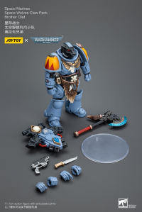Space Marines Space Wolves Claw Pack Brother Olaf 5