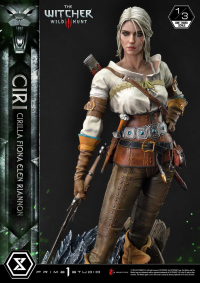 Museum Masterline The Witcher 3: Wild Hunt Ciri Fiona Elen Riannon 56
