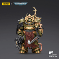 Death Guard Blightlord Terminator 3 with Combi-bolter and Bubotic Blade 1