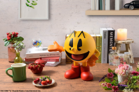 SoftB PAC-MAN 11