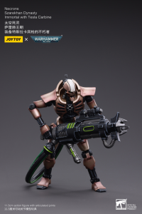Necrons Szarekhan Dynasty lmmortal with Tesla Carbine [2PCS] 7