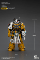 Imperial Fists Legion Apothecary 13