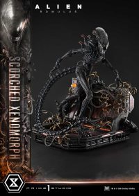 Museum Masterline XL Alien: Romulus Scorched Xenomorph 30