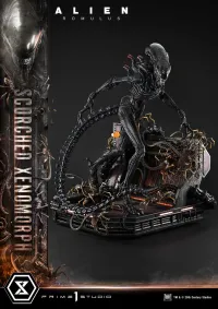 Prime 1 Studio Museum Masterline XL Alien: Romulus Scorched Xenomorph - Alien (Movie Franchise) - photo 30
