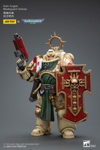 Dark Angels Bladeguard Veteran 6