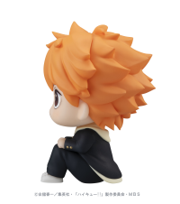 Lookup Haikyu!! Shoyo Hinata(Repeat) 3