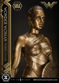 Prime 1 Studio Museum Masterline Wonder Woman (Film) Wonder Woman Training Costume Gold Version - DC Comics - photo 16