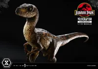 Prime 1 Studio Prime Collectible Figures  Jurassic Park (Film)  Velociraptor  Closed Mouth - Jurassic Park - photo 13