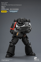 Raven Guard Intercessor with Bolt Rifle, Bolt Pistol and Chainsword 20