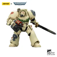 JOYTOY Dark Angels Deathwing Terminator 1 with Power Sword and Storm Bolter - Warhammer 40K - photo 13