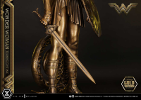 Museum Masterline Wonder Woman (Film) Wonder Woman Training Costume Gold Version 26