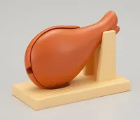 MegaHouse Pork Puzzle , Megahouse Kaitai Puzzle - Art & Display - photo 8