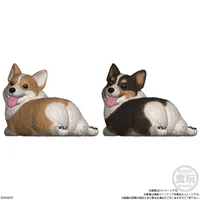 BANDAI Mocchiri Kororin Dogs (Open Box/12) - Blind Boxes - photo 5