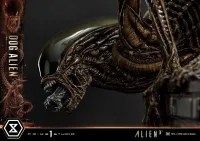 Prime 1 Studio Museum Masterline XL Alien 3 (Film) Dog Alien Deluxe Version - Alien (Movie Franchise) - photo 60