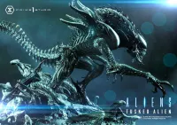 Prime 1 Studio Premium Masterline Aliens (Comics) Tusked Alien Bonus Version - Alien (Movie Franchise) - photo 30