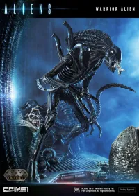 Prime 1 Studio Premium Masterline Aliens (Comics) Warrior Alien DX Bonus Version - Alien (Movie Franchise) - photo 64