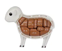 MegaHouse Lamb Puzzle , Megahouse Kaitai Puzzle - Kaitai Lamb - photo 12