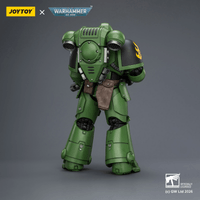 Salamanders Intercessor with Bolt Rifle, Bolt Pistol and Chainsword 2