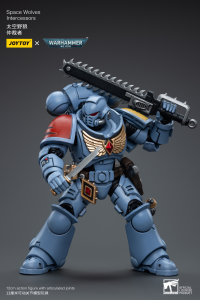 Space Wolves Intercessors 4