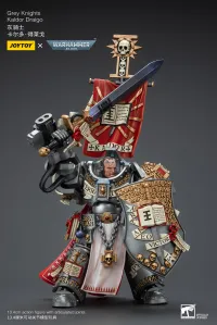 JOYTOY Grey Knights Kaldor Draigo - Warhammer 40K - photo 5