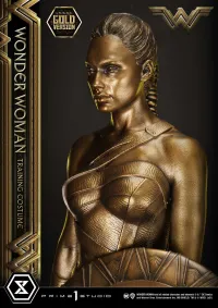 Prime 1 Studio Museum Masterline Wonder Woman (Film) Wonder Woman Training Costume Gold Version - DC Comics - photo 14