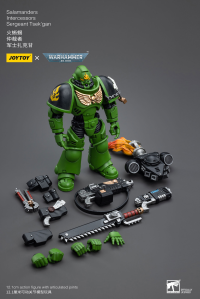Salamanders Intercessors Sergeant Tsek'gan 8