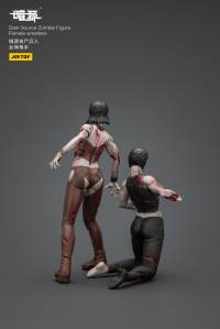 Dark Source Zombie Figure Female wrestlers 7