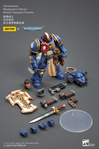 Ultramarines Bladeguard VeteranBrother Sergeant Proximo 2