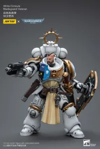 JOYTOY White Consuls Bladeguard Veteran - Warhammer 40K - photo 4