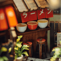 Kyoto Gion Book Nook Kit 7