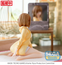 "Atelier Ryza: Ever Darkness & The Secret Hideout" PM Perching Figure "Reisalin Stout" 4