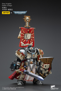 Grey Knights Kaldor Draigo 6